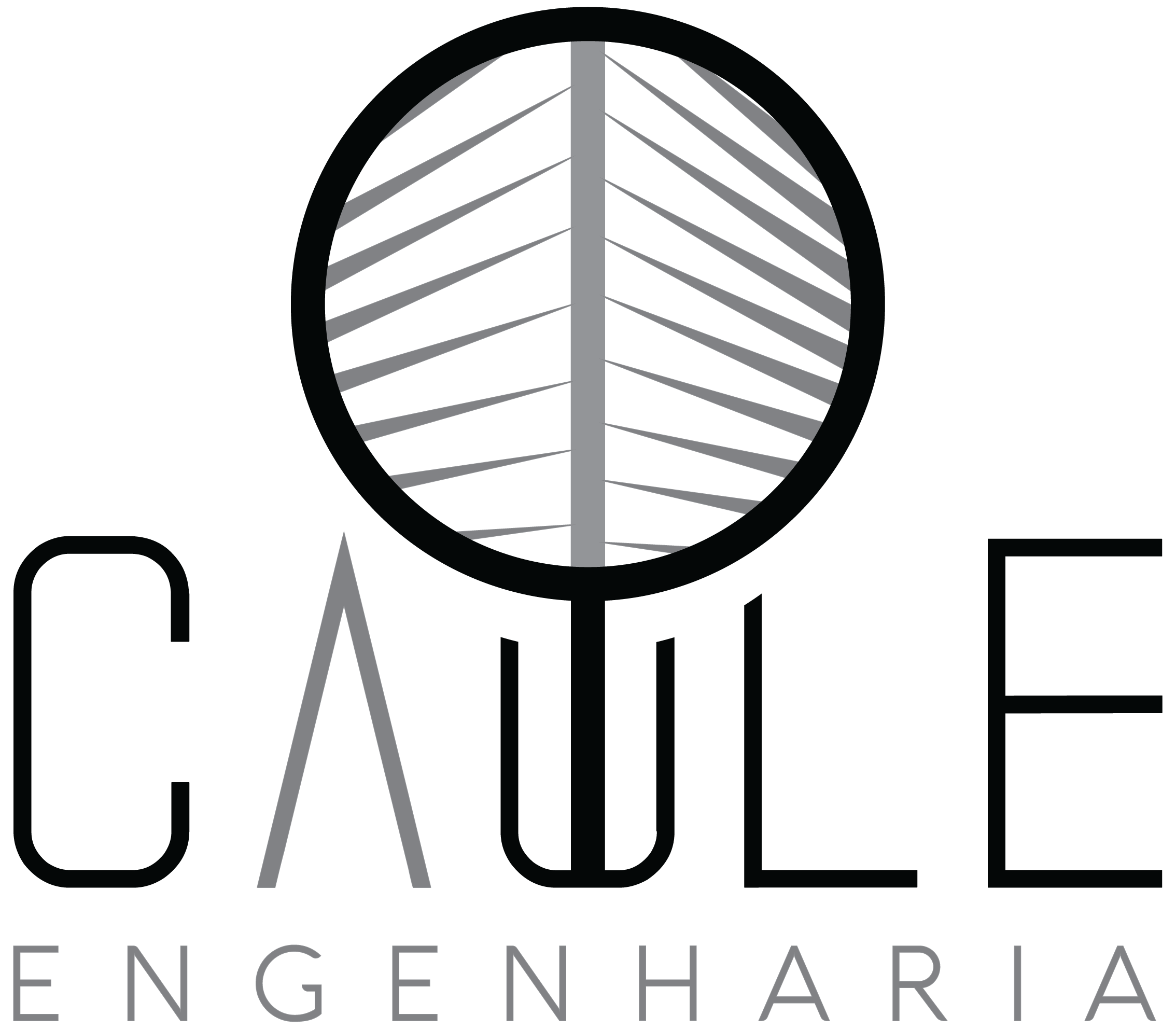 Caule Engenharia